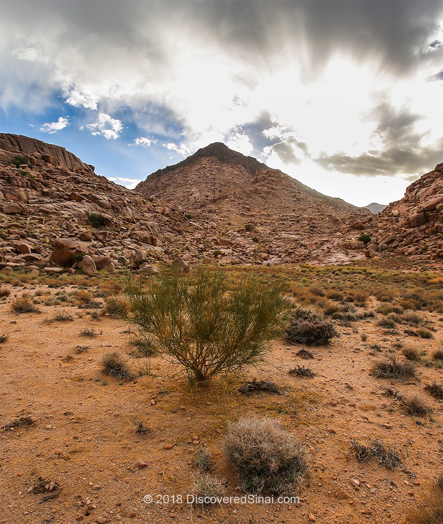 Mount Sinai in Arabia with a bush growing on it.