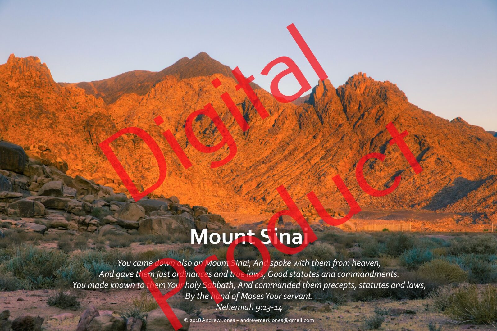 8 Poster Set Mount Sinai Only Posters (DIGITAL) Discovered Sinai